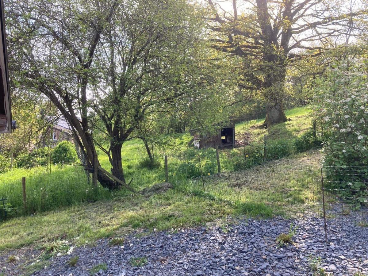 Au Panier Ardennais Gouvy Buitenkant foto
